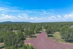 2705 West Honeysuckle Road, Williams, AZ 86046 - Photo 38