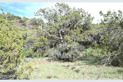 11310 S Grey Hawk Way, Williams, AZ 86046 - Photo 4