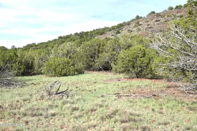 11310 S Grey Hawk Way, Williams, AZ 86046 - Photo 2