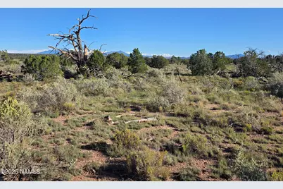 10072 Red Butte Rd Lot A, Williams, AZ 86046 - Photo 12