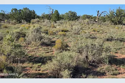 10072 Red Butte Rd Lot A, Williams, AZ 86046 - Photo 10