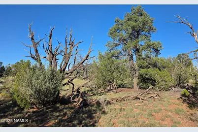 10072 Red Butte Rd Lot B, Williams, AZ 86046 - Photo 2