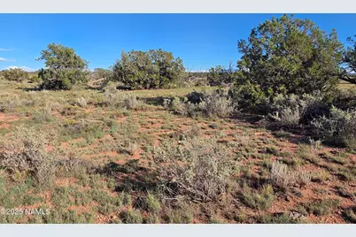 10072 Red Butte Rd Lot B, Williams, AZ 86046 - Photo 6