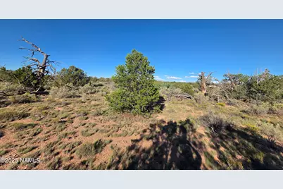 10072 Red Butte Rd Lot C, Williams, AZ 86046 - Photo 14