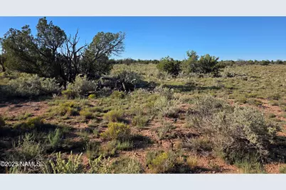 10072 Red Butte Rd Lot C, Williams, AZ 86046 - Photo 6