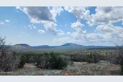 30343007-B Alpine Ranches, Flagstaff, AZ 86004 - Photo 4