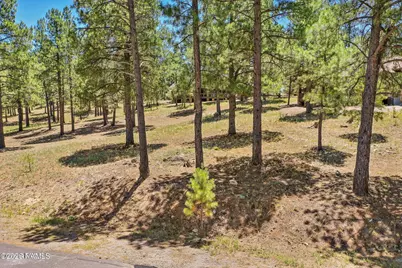 1939 E Bare Oak Loop #238, Flagstaff, AZ 86005 - Photo 6