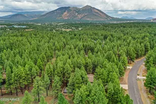 4850 E Mt Pleasant Dr, Flagstaff, AZ 86004 - Photo 16