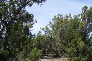 5377 N Downpour Row, Williams, AZ 86046 - Photo 1