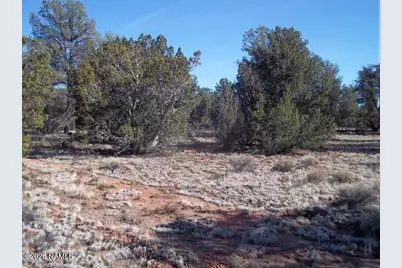 5377 N Downpour Row, Williams, AZ 86046 - Photo 2
