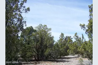 5377 N Downpour Row, Williams, AZ 86046 - Photo 4