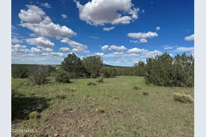 14556 Howard Mesa Loop, Williams, AZ 86046 - Photo 8