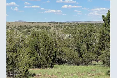 14556 Howard Mesa Loop, Williams, AZ 86046 - Photo 6