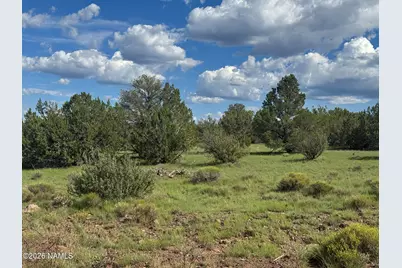 10209 S Big Bear Road, Williams, AZ 86046 - Photo 12