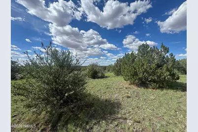 10209 S Big Bear/14556 Howard Mesa Road, Williams, AZ 86046 - Photo 22
