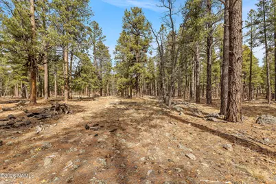 2937 Ben Brooks Lot# 3, Flagstaff, AZ 86005 - Photo 22