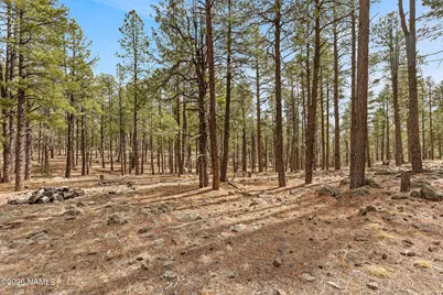 2851 Ben Brooks Lot #2, Flagstaff, AZ 86005 - Photo 24