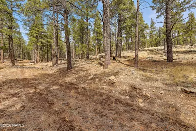 2851 Ben Brooks Lot #2, Flagstaff, AZ 86005 - Photo 14
