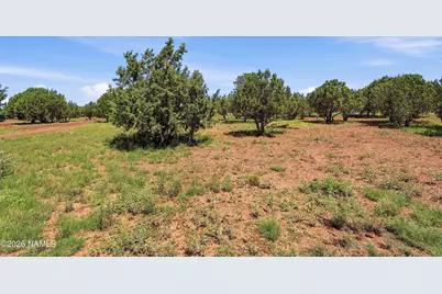 1788 W Mustang Boulevard, Williams, AZ 86046 - Photo 44