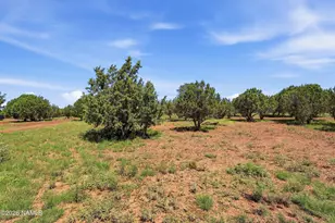 1788 W Mustang Blvd, Williams, AZ 86046 - Photo 44