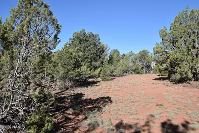 2564 S Red Clover Drive, Williams, AZ 86046 - Photo 10