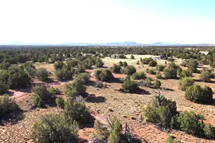 2564 S Red Clover Dr, Williams, AZ 86046 - Photo 1