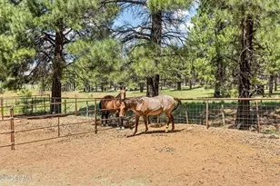 1459 N Transwestern Pump Rd, Bellemont, AZ 86015 - Photo 4