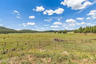 1459 N Transwestern Pump Rd, Bellemont, AZ 86015 - Photo 82