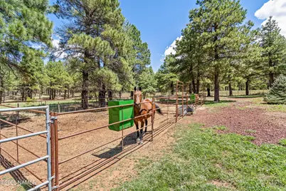 1459 N Transwestern Pump Road, Bellemont, AZ 86015 - Photo 80