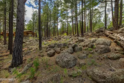 2963 N Boldt Drive, Flagstaff, AZ 86001 - Photo 58