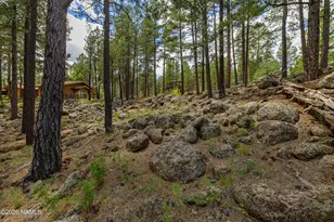 2963 N Boldt Dr, Flagstaff, AZ 86001 - Photo 58