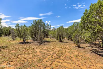 2277 Sunrise Road, Heber, AZ 85933 - Photo 8