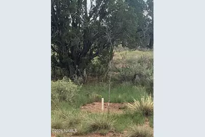 3072 E Indian Meadows Road, Williams, AZ 86046 - Photo 10