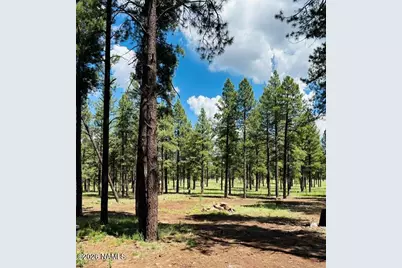 725 S Friar Tuck Trail, Williams, AZ 86046 - Photo 22