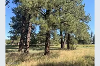 2967 W Highland Meadows Drive, Williams, AZ 86046 - Photo 6
