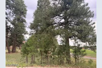 2967 W Highland Meadows Drive, Williams, AZ 86046 - Photo 28
