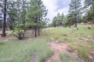 2270 N Colter Dr, Flagstaff, AZ 86004 - Photo 38