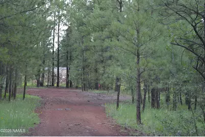 24A N Philip Drive, Parks, AZ 86018 - Photo 4