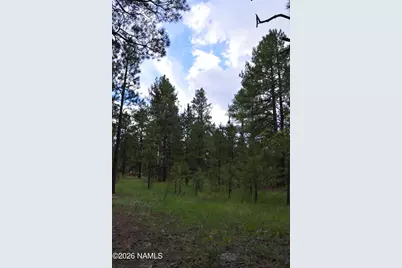 24A N Philip Drive, Parks, AZ 86018 - Photo 10