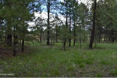 24A N Philip Drive, Parks, AZ 86018 - Photo 2