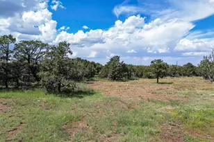 7382 N Apache Ave, Williams, AZ 86046 - Photo 1