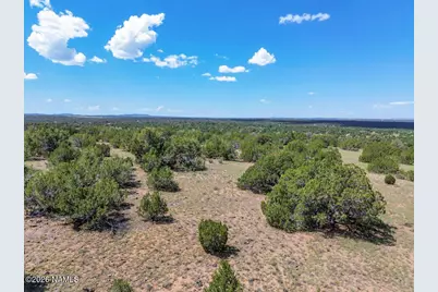 1591 Lara Lane, Williams, AZ 86046 - Photo 18