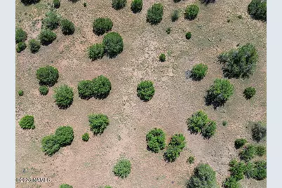 1591 Lara Lane, Williams, AZ 86046 - Photo 28