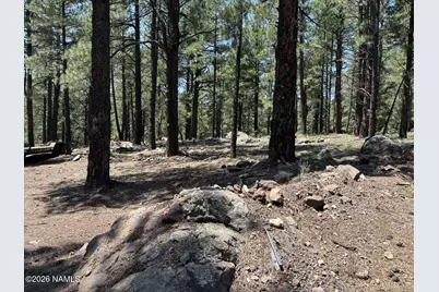 2602 Mesa Trail, Flagstaff, AZ 86005 - Photo 2