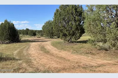 886 SW Ranch Road, Williams, AZ 86046 - Photo 4