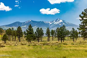 0 E Snow Bowl Estates 2 Lot 7 Ave, Flagstaff, AZ 86001 - Photo 1