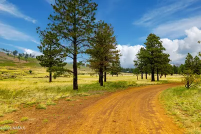 0 E Snow Bowl Estates 2 Lot 7 Avenue, Flagstaff, AZ 86001 - Photo 4