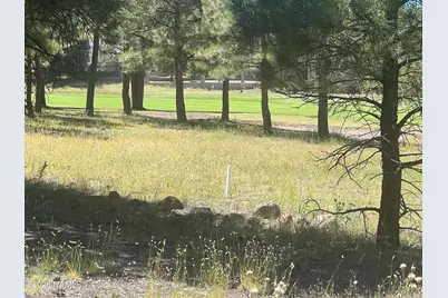 2935 W St Andrews, Williams, AZ 86046 - Photo 6