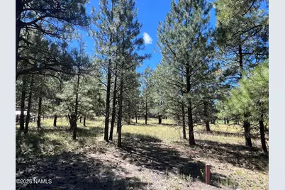 2935 W St Andrews, Williams, AZ 86046 - Photo 1