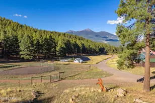 6705 Virgil Wy, Flagstaff, AZ 86001 - Photo 84